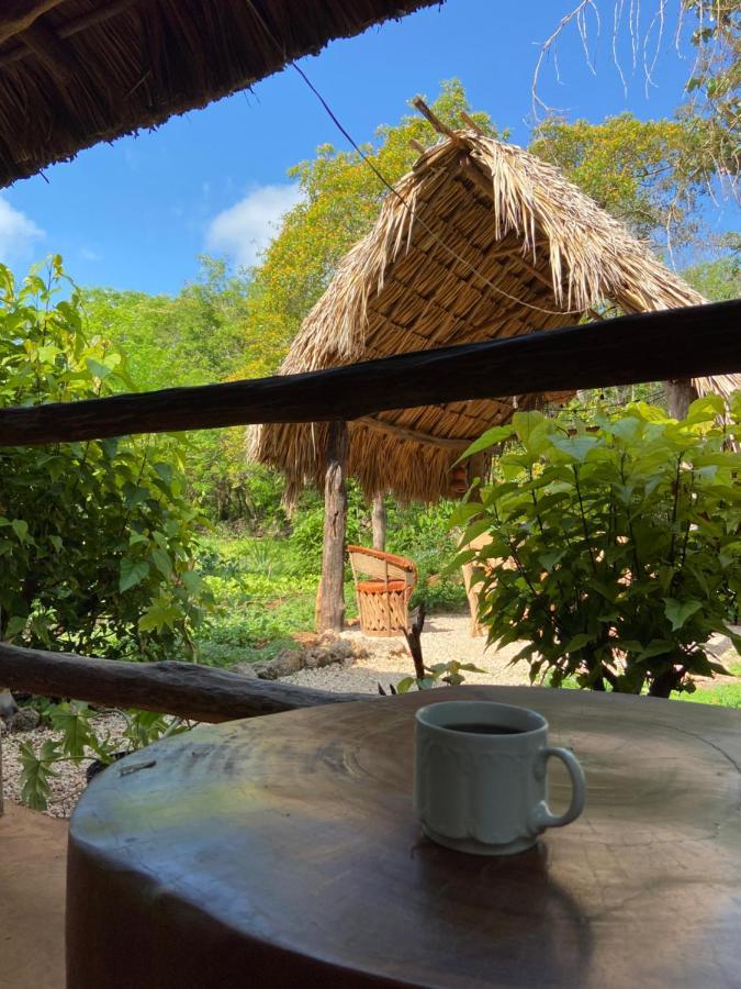 Encantadora Villa Maya Tradicional En Rancho Agroecologico Tzucaceb Exteriér fotografie