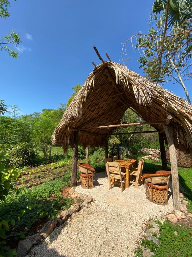 Encantadora Villa Maya Tradicional En Rancho Agroecologico Tzucaceb Exteriér fotografie