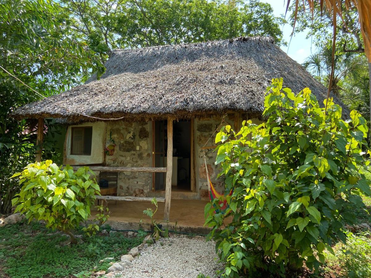 Encantadora Villa Maya Tradicional En Rancho Agroecologico Tzucaceb Exteriér fotografie