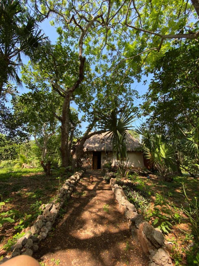 Encantadora Villa Maya Tradicional En Rancho Agroecologico Tzucaceb Exteriér fotografie