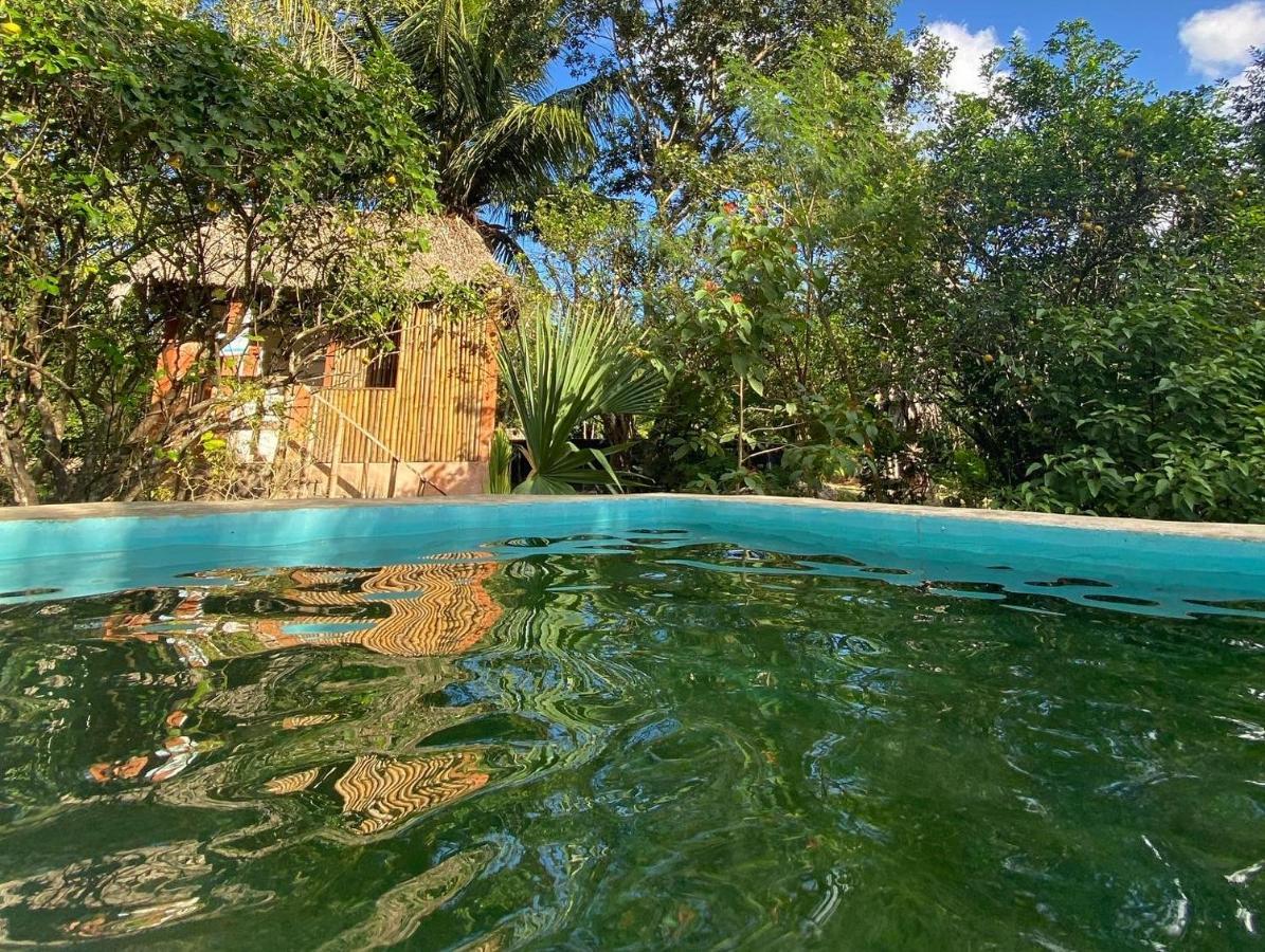Encantadora Villa Maya Tradicional En Rancho Agroecologico Tzucaceb Exteriér fotografie