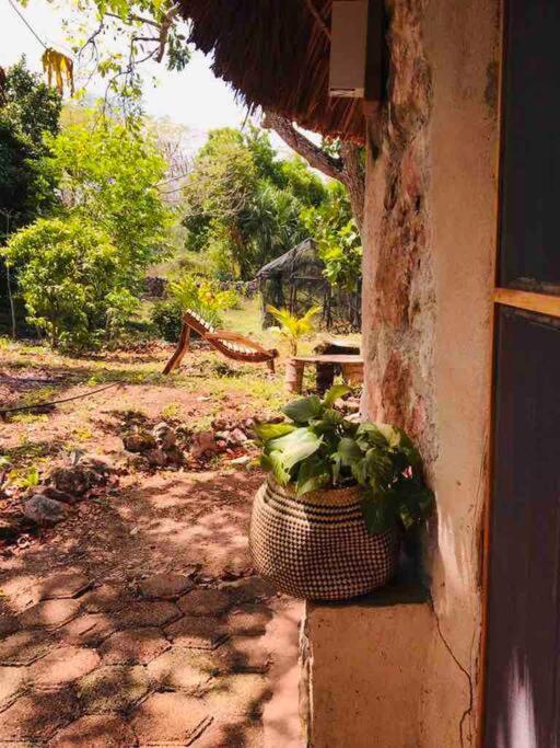 Encantadora Villa Maya Tradicional En Rancho Agroecologico Tzucaceb Exteriér fotografie