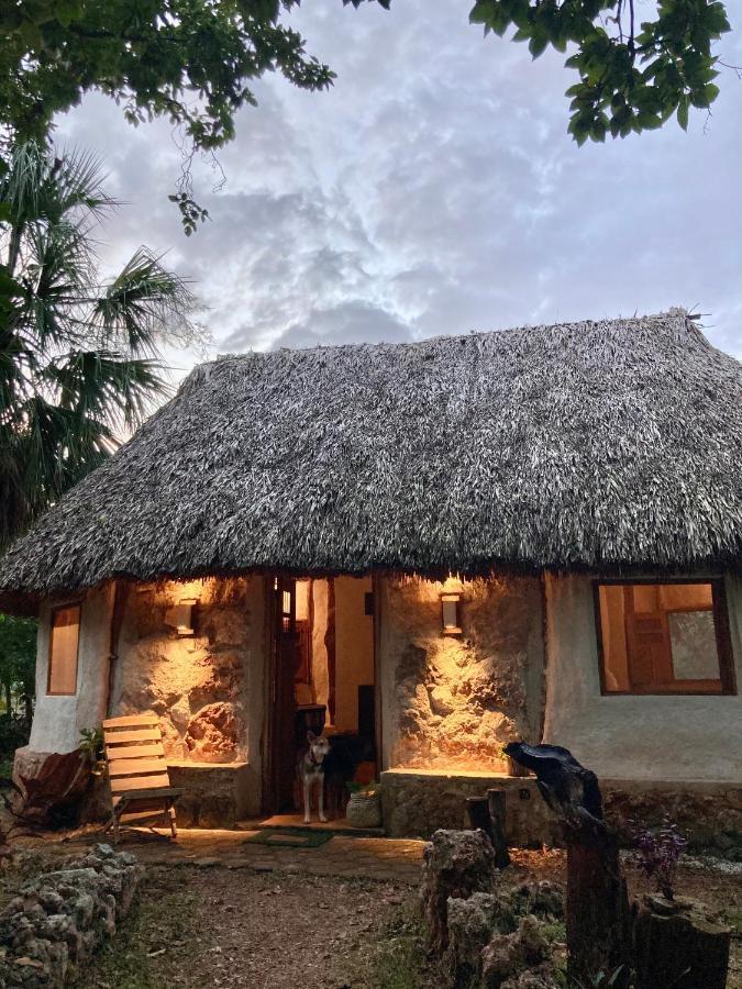 Encantadora Villa Maya Tradicional En Rancho Agroecologico Tzucaceb Exteriér fotografie