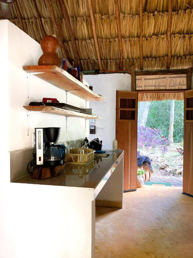 Encantadora Villa Maya Tradicional En Rancho Agroecologico Tzucaceb Exteriér fotografie