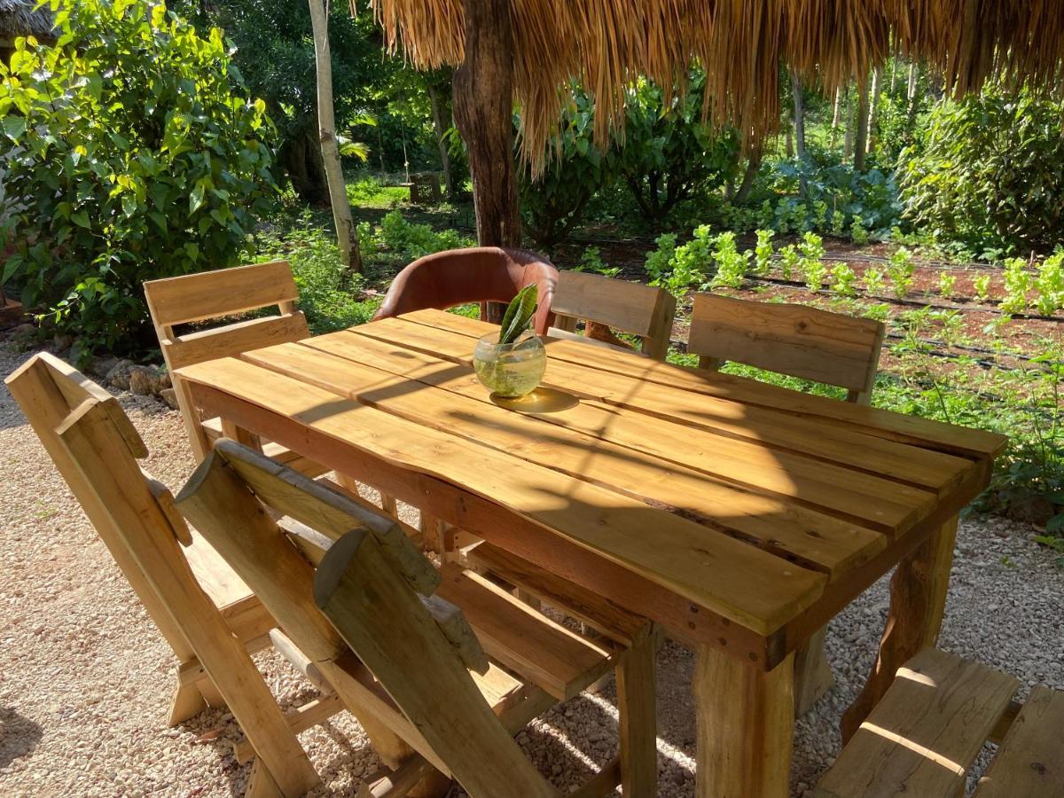 Encantadora Villa Maya Tradicional En Rancho Agroecologico Tzucaceb Exteriér fotografie