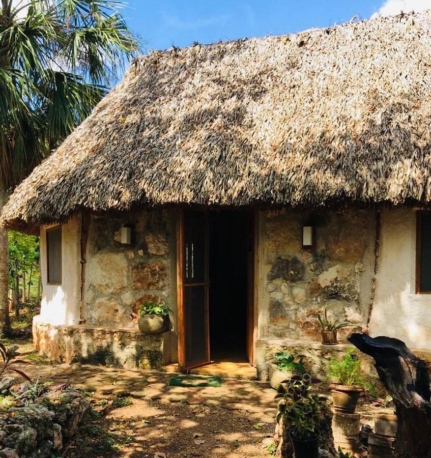 Encantadora Villa Maya Tradicional En Rancho Agroecologico Tzucaceb Exteriér fotografie