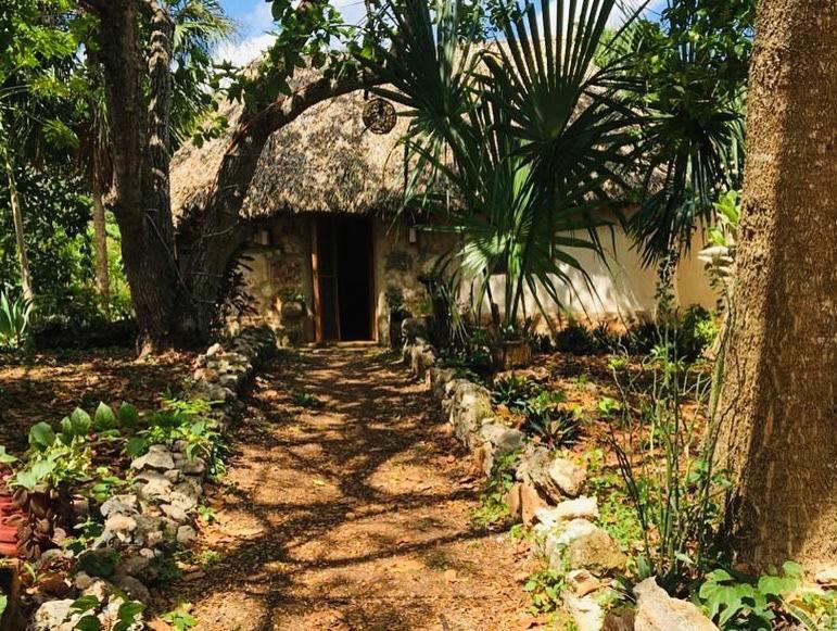 Encantadora Villa Maya Tradicional En Rancho Agroecologico Tzucaceb Exteriér fotografie