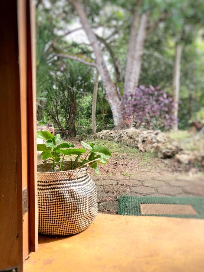 Encantadora Villa Maya Tradicional En Rancho Agroecologico Tzucaceb Exteriér fotografie